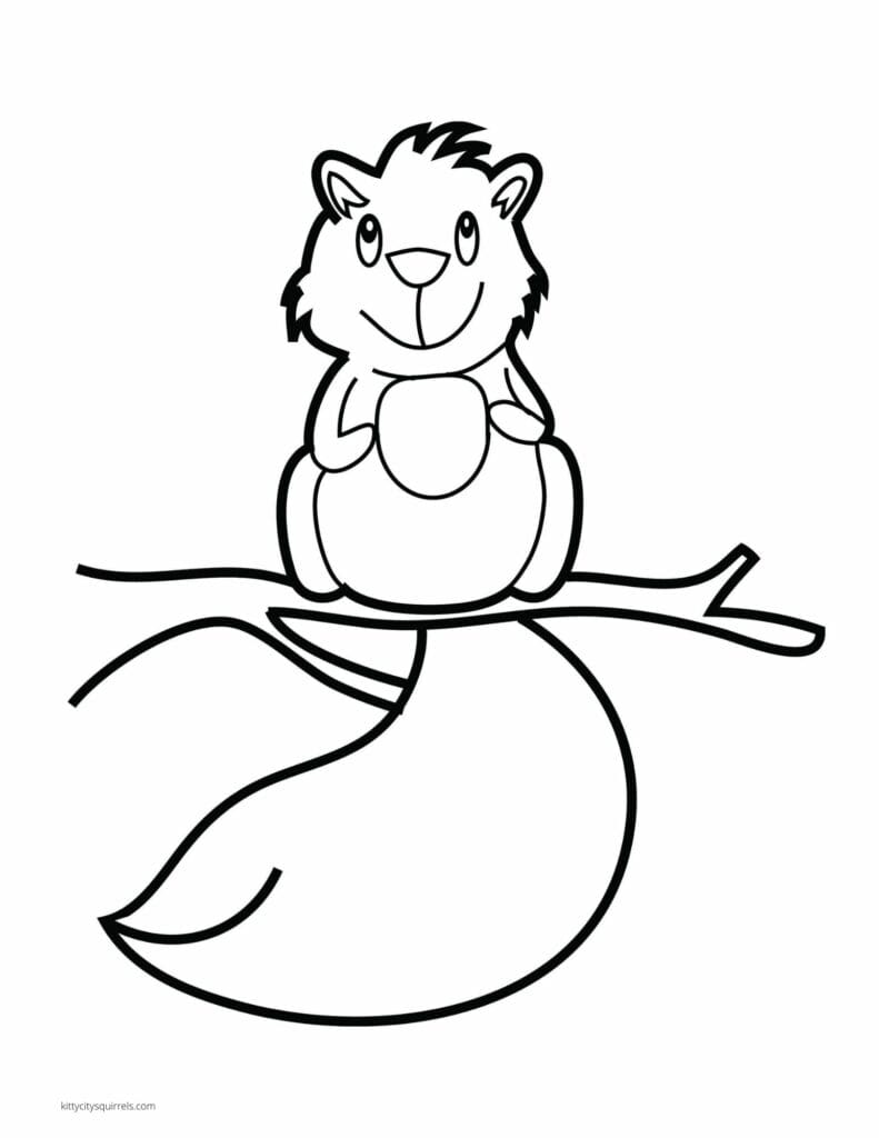 Squirrel Coloring Pages - squirrel acorn on a branch