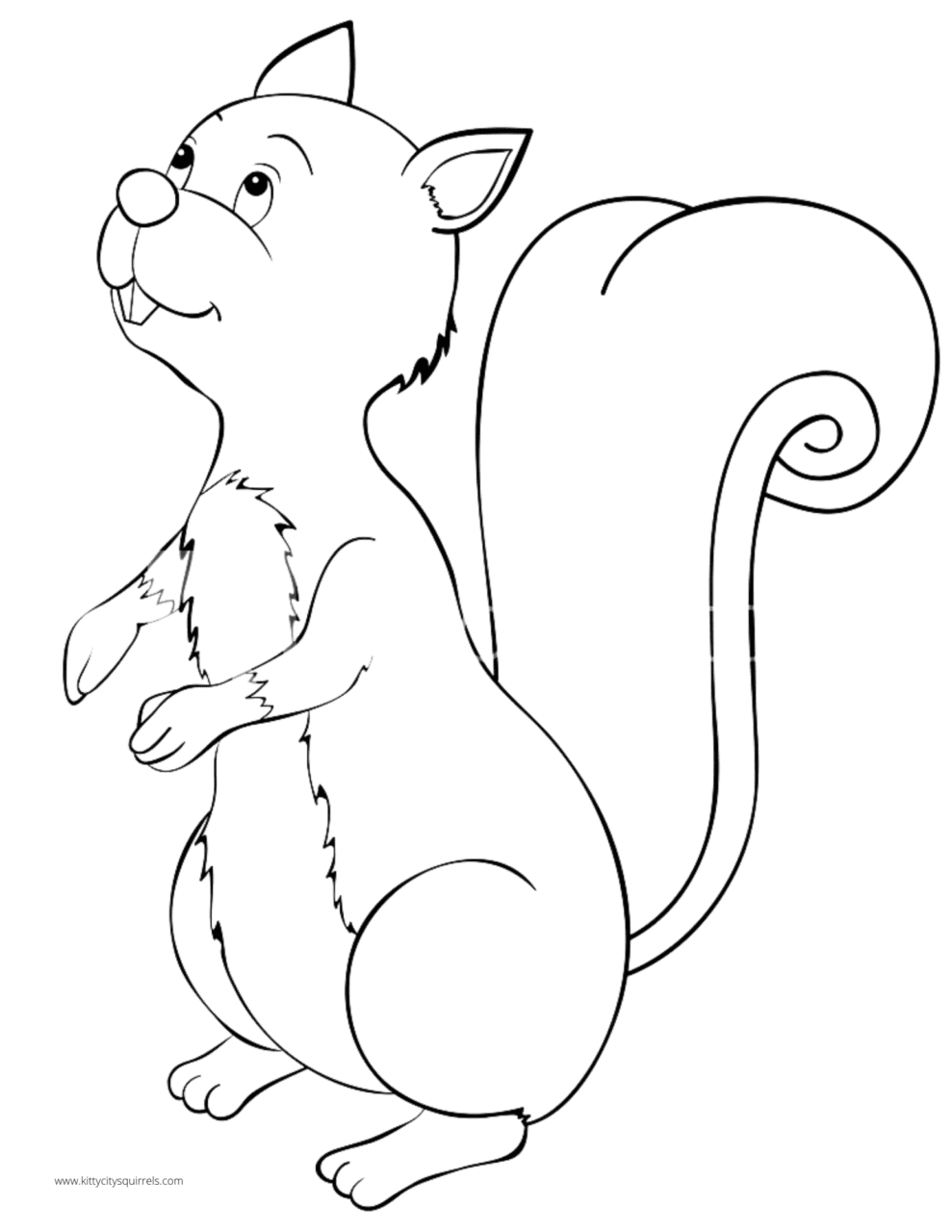 Squirrel Zone-Squirrel Coloring Pages | Kitty City Squirrels